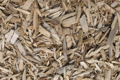 biomass boilers Minishant