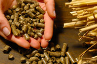 free Minishant biomass boiler quotes