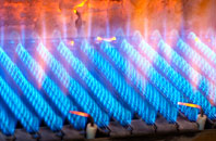 Minishant gas fired boilers